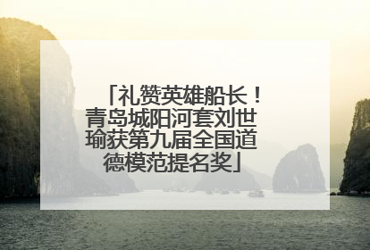 礼赞英雄船长！青岛城阳河套刘世瑜获第九届全国道德模范提名奖