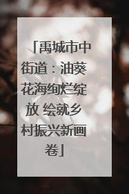 禹城市中街道：油葵花海绚烂绽放 绘就乡村振兴新画卷