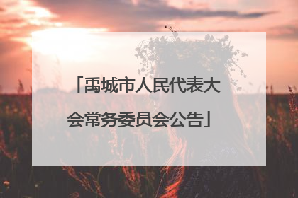禹城市人民代表大会常务委员会公告