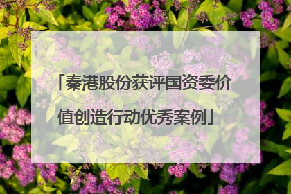 秦港股份获评国资委价值创造行动优秀案例