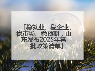 稳就业、稳企业、稳市场、稳预期，山东发布2025年第二批政策清单