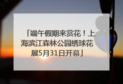 端午假期来赏花！上海滨江森林公园绣球花展5月31日开幕