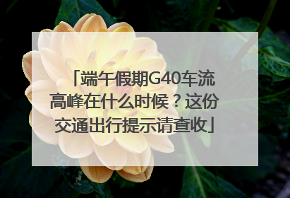 端午假期G40车流高峰在什么时候？这份交通出行提示请查收