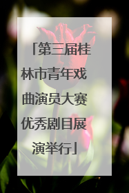 第三届桂林市青年戏曲演员大赛优秀剧目展演举行