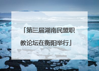 第三届湖南民盟职教论坛在衡阳举行