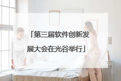 第三届软件创新发展大会在光谷举行