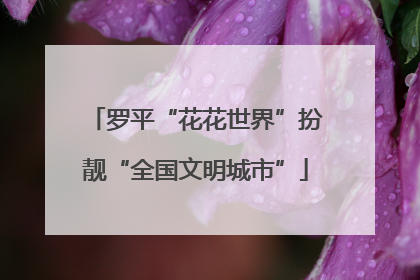 罗平“花花世界”扮靓“全国文明城市”