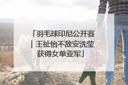羽毛球印尼公开赛｜王祉怡不敌安洗莹 获得女单亚军