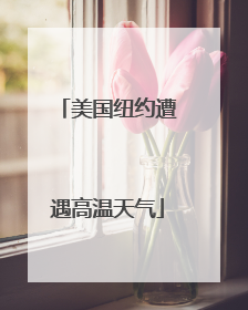 美国纽约遭遇高温天气