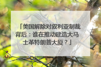 美国解除对叙利亚制裁背后：谁在推动建造大马士革特朗普大厦？
