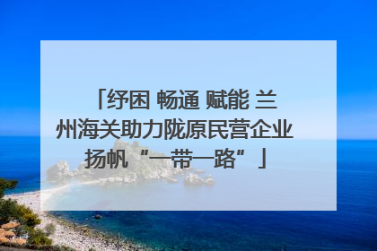 纾困 畅通 赋能 兰州海关助力陇原民营企业扬帆“一带一路”