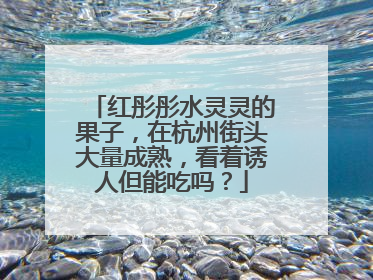 红彤彤水灵灵的果子，在杭州街头大量成熟，看着诱人但能吃吗？