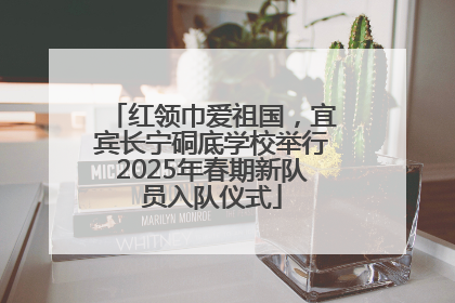 红领巾爱祖国，宜宾长宁硐底学校举行2025年春期新队员入队仪式