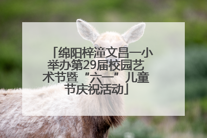 绵阳梓潼文昌一小举办第29届校园艺术节暨“六一”儿童节庆祝活动