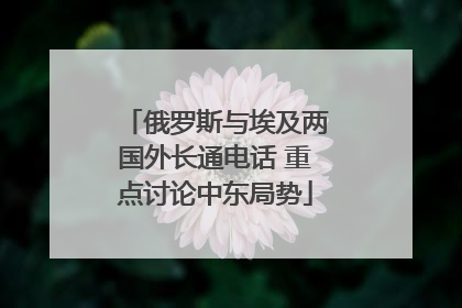 俄罗斯与埃及两国外长通电话 重点讨论中东局势