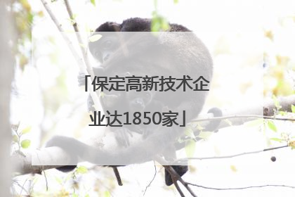 保定高新技术企业达1850家