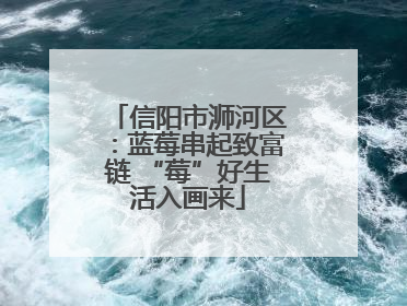 信阳市浉河区：蓝莓串起致富链 “莓”好生活入画来