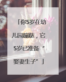 你5岁在幼儿园蹦跶，它5岁已准备“娶妻生子”