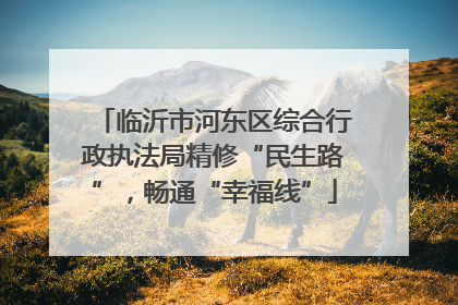 临沂市河东区综合行政执法局精修“民生路”，畅通“幸福线”