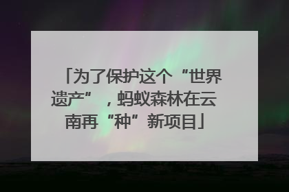 为了保护这个“世界遗产”，蚂蚁森林在云南再“种”新项目