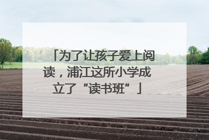 为了让孩子爱上阅读，浦江这所小学成立了“读书班”
