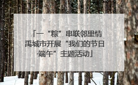 一“粽”串联邻里情 禹城市开展“我们的节日·端午”主题活动