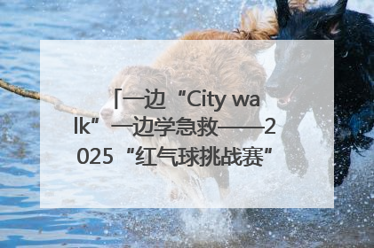 一边“City walk”一边学急救——2025“红气球挑战赛”（郑州站）燃情开跑
