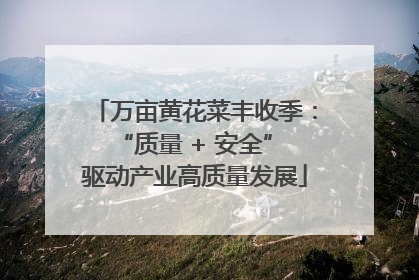 万亩黄花菜丰收季：“质量 + 安全” 驱动产业高质量发展