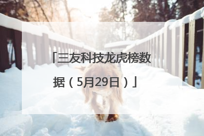 三友科技龙虎榜数据（5月29日）
