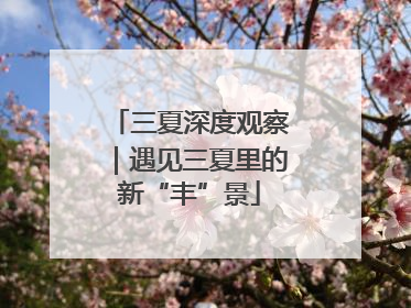 三夏深度观察｜遇见三夏里的新“丰”景