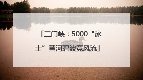 三门峡：5000“泳士”黄河碧波竞风流