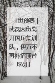 世预赛｜武磊因伤离开国足集训队，伊万不再补招顶替球员