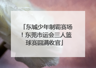 东城少年制霸赛场！东莞市运会三人篮球赛圆满收官