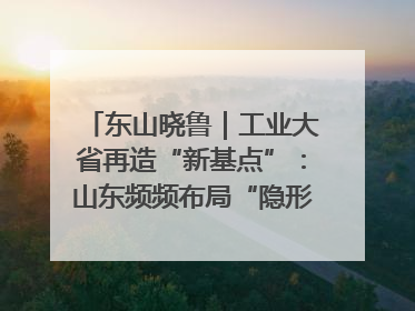 东山晓鲁｜工业大省再造“新基点”：山东频频布局“隐形冠军”背后
