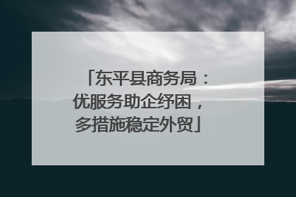 东平县商务局：优服务助企纾困，多措施稳定外贸