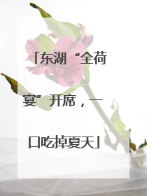 东湖“全荷宴”开席，一口吃掉夏天