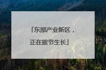 东部产业新区，正在拔节生长