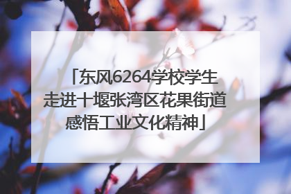 东风6264学校学生走进十堰张湾区花果街道感悟工业文化精神
