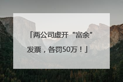 两公司虚开“富余”发票，各罚50万！
