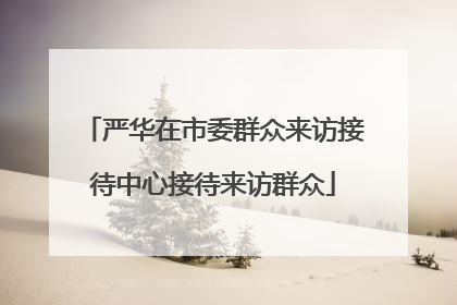 严华在市委群众来访接待中心接待来访群众