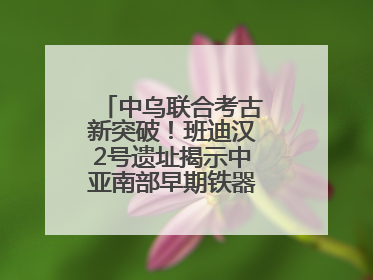 中乌联合考古新突破！班迪汉2号遗址揭示中亚南部早期铁器时代城邦文明