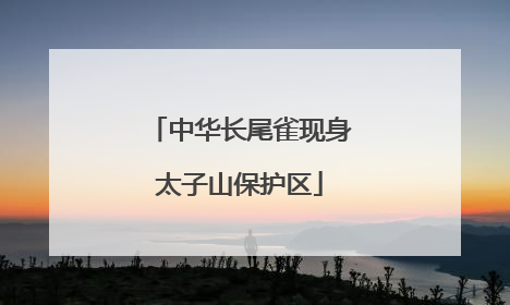 中华长尾雀现身太子山保护区