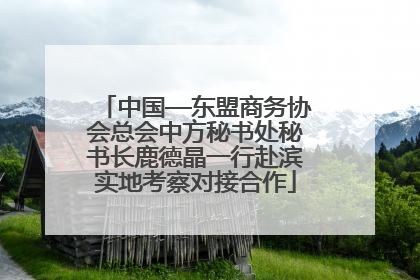 中国—东盟商务协会总会中方秘书处秘书长鹿德晶一行赴滨实地考察对接合作
