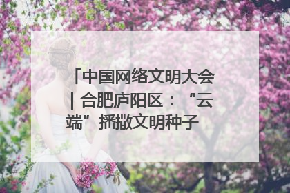 中国网络文明大会｜合肥庐阳区：“云端”播撒文明种子 共建清朗网络空间