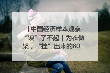 中国经济样本观察·“镇”了不起｜为衣做架，“挂”出来的80亿元“衣架产业”