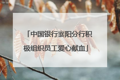 中国银行襄阳分行积极组织员工爱心献血