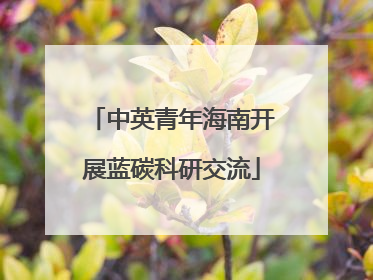中英青年海南开展蓝碳科研交流