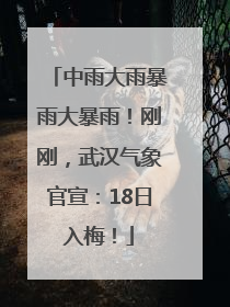 中雨大雨暴雨大暴雨！刚刚，武汉气象官宣：18日入梅！