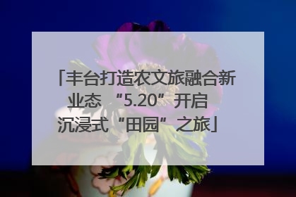丰台打造农文旅融合新业态 “5.20”开启沉浸式“田园”之旅