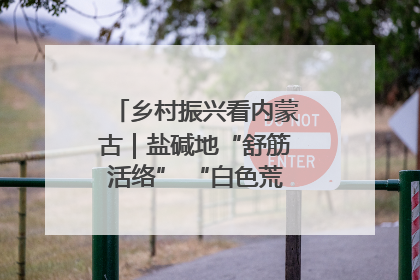 乡村振兴看内蒙古｜盐碱地“舒筋活络” “白色荒漠”长出吨粮田